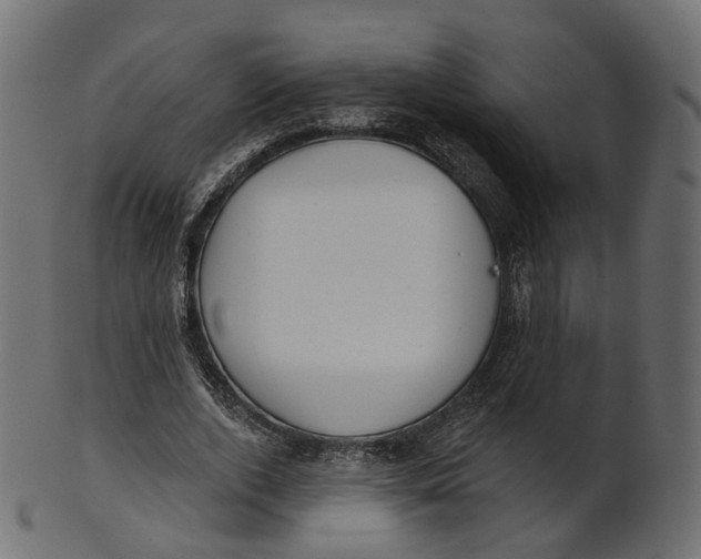 X0000100470728200807031827