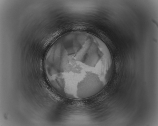 X0000100470729200807031827