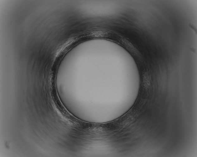 X0000100470730200807031827