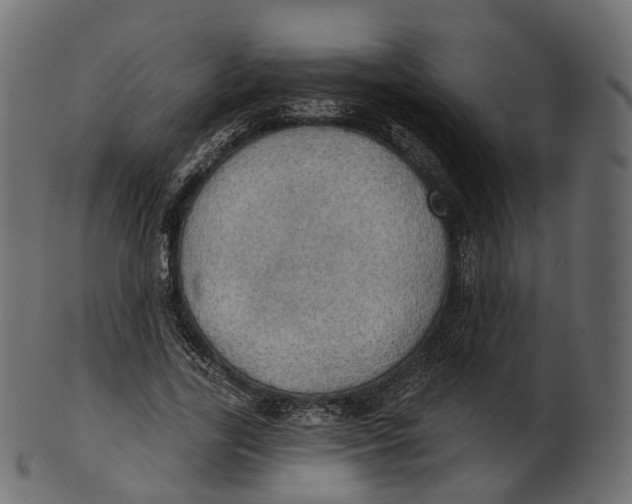 X0000100470731200807031827