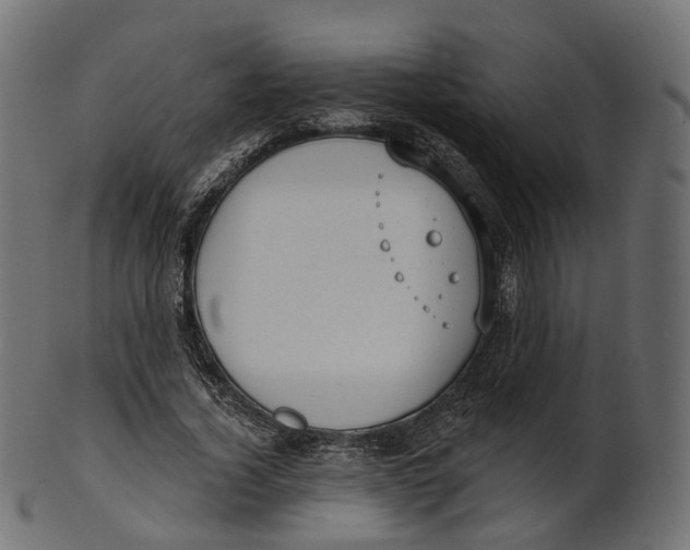 X0000100470732200807031827