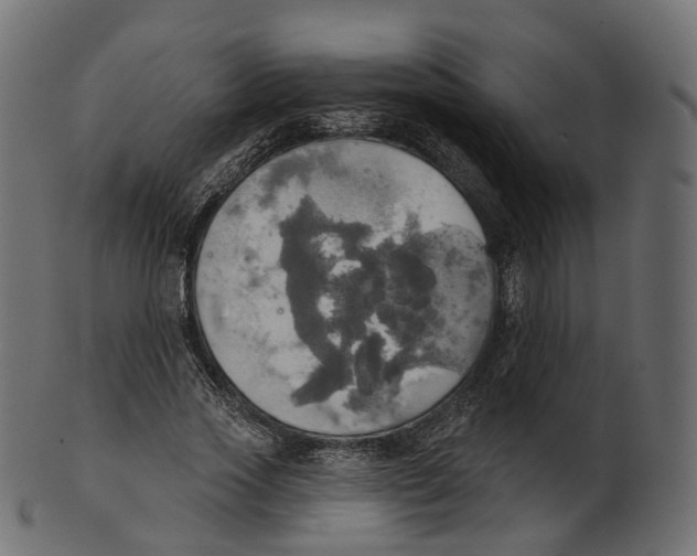 X0000100470733200807031827