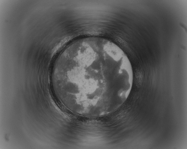 X0000100470734200807031827