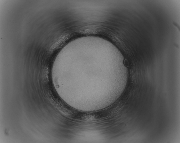 X0000100470735200807031827