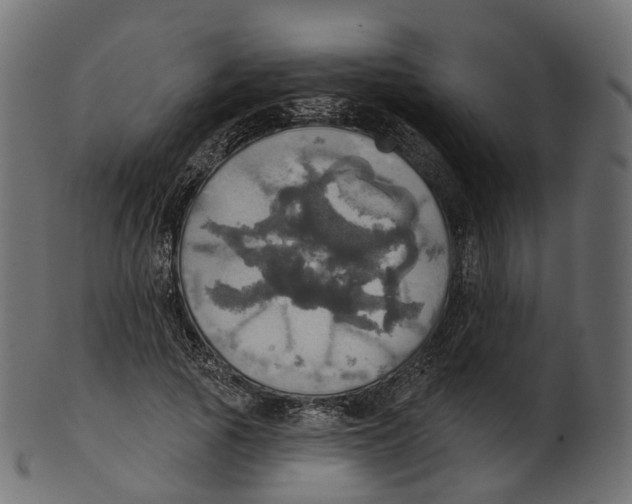 X0000100470737200807031827