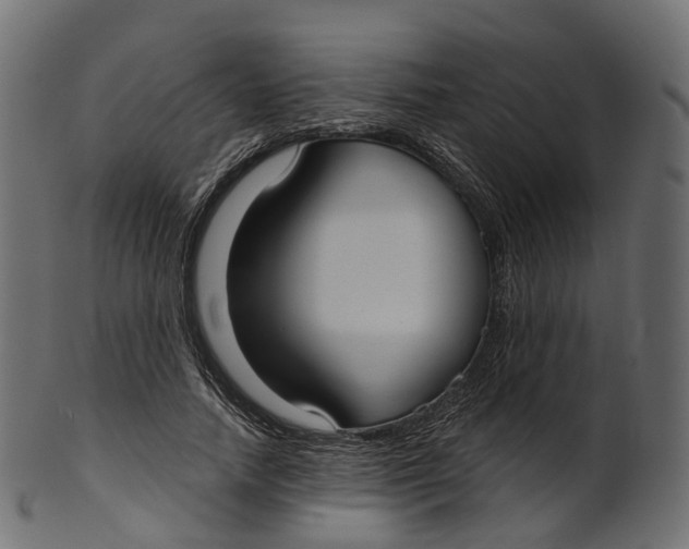 X0000100470738200807031827