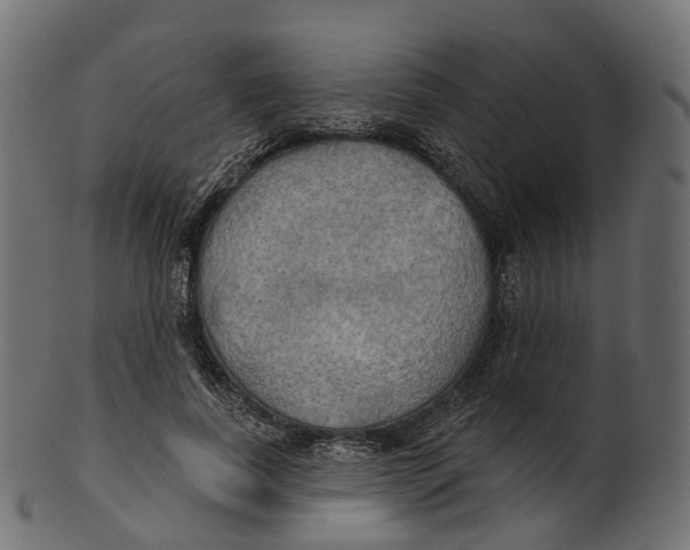 X0000100470739200807031827