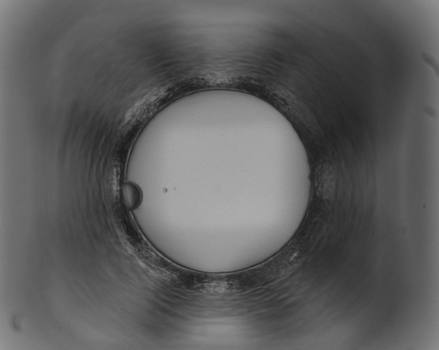 X0000100470740200807031827