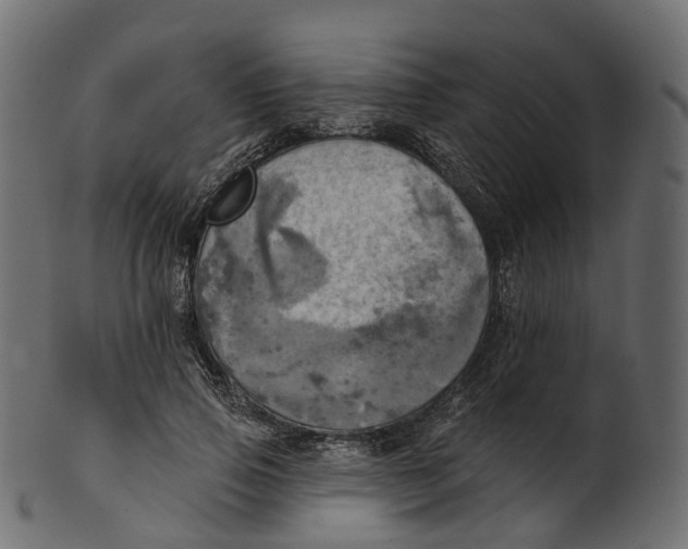 X0000100470741200807031827