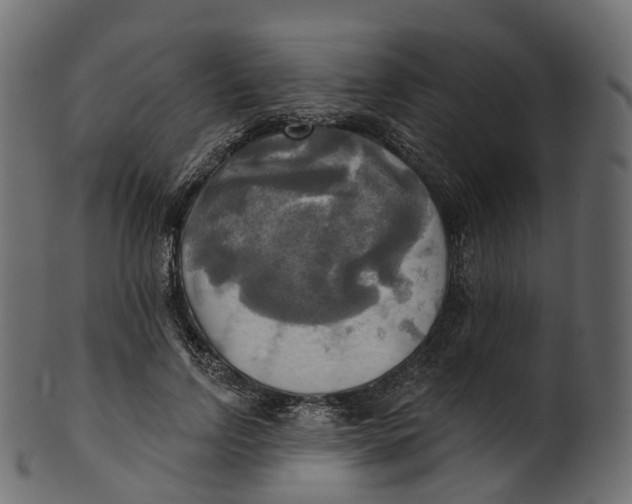 X0000100470742200807031827