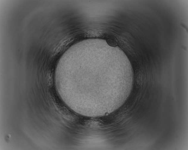 X0000100470743200807031827