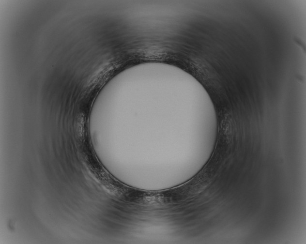 X0000100470744200807031827