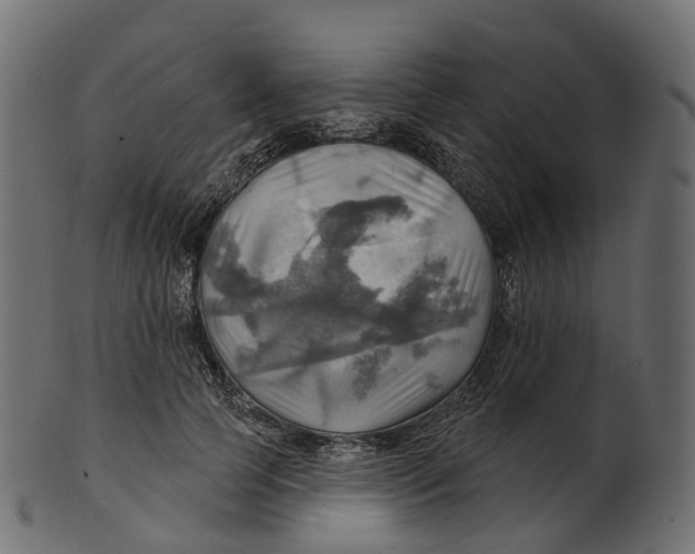 X0000100470745200807031827