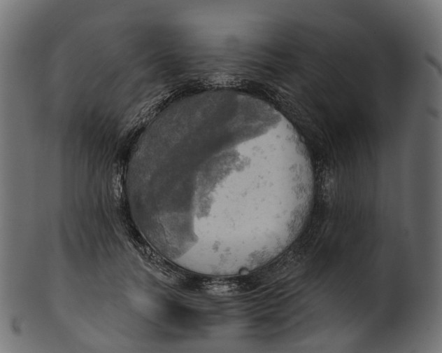 X0000100470746200807031827