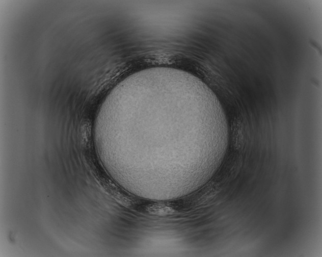 X0000100470747200807031827