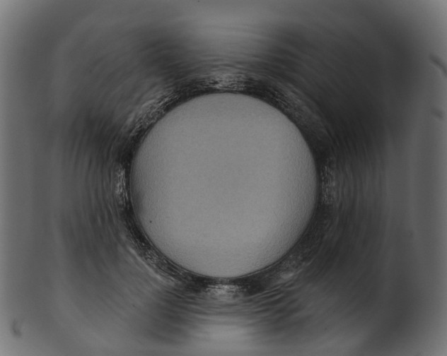 X0000100470748200807031827