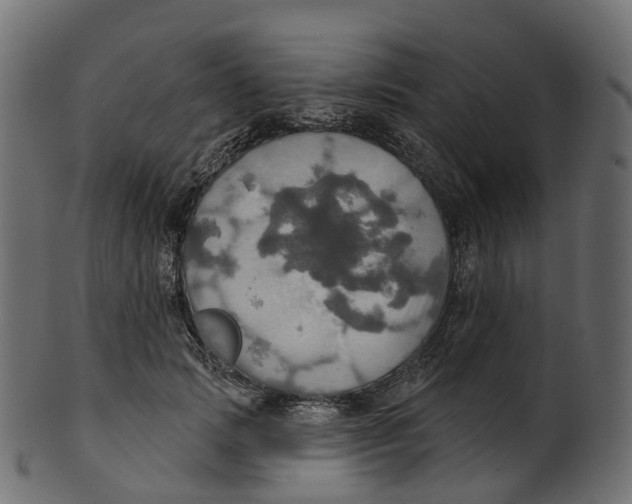 X0000100470749200807031827