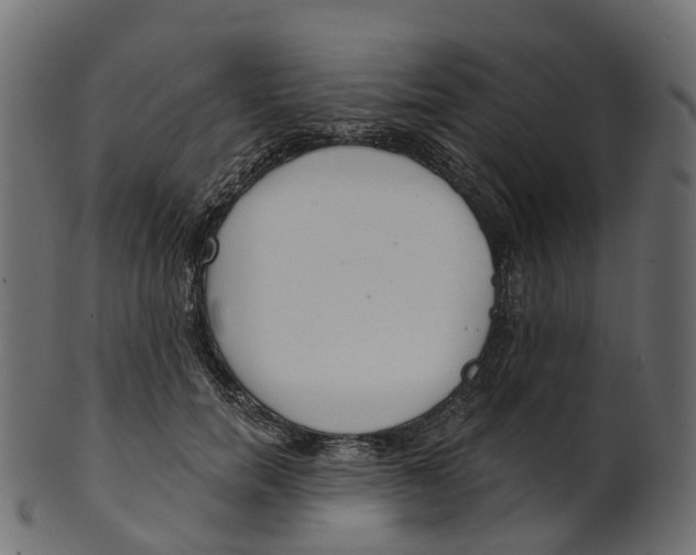 X0000100470750200807031827