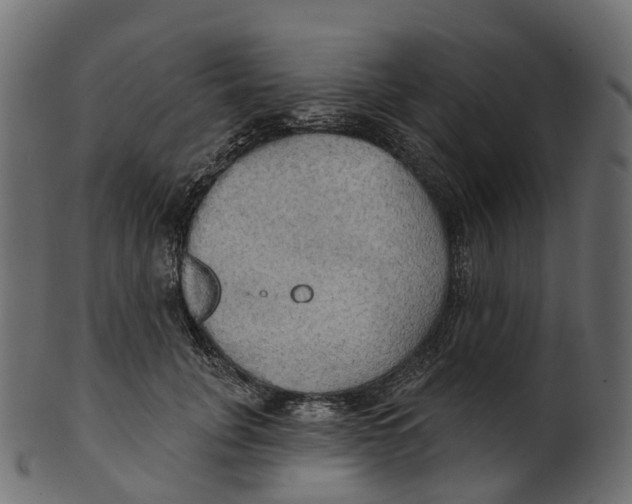 X0000100470751200807031827