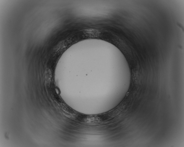 X0000100470752200807031827