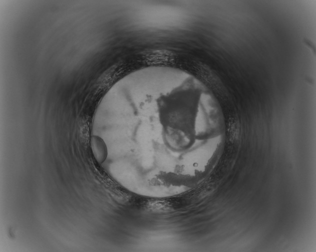 X0000100470753200807031827