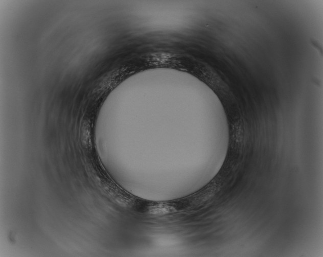 X0000100470754200807031827