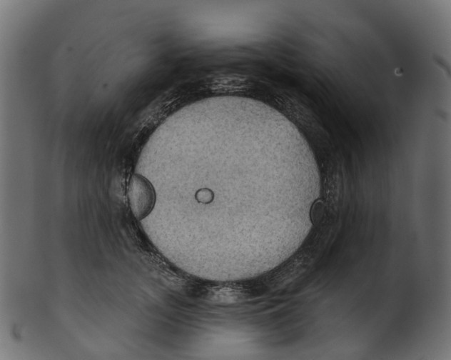 X0000100470755200807031827