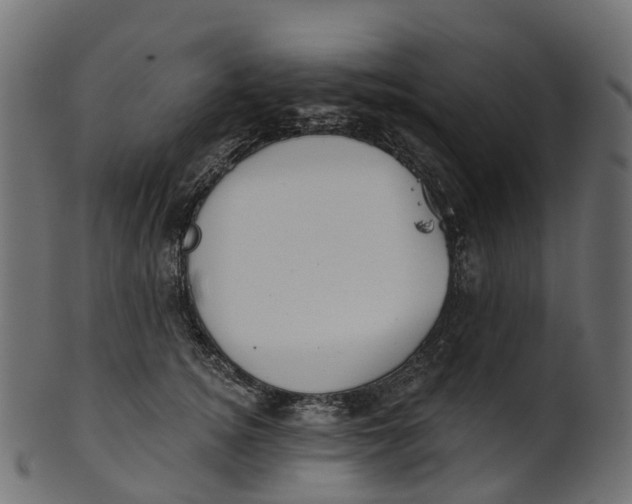 X0000100470756200807031827