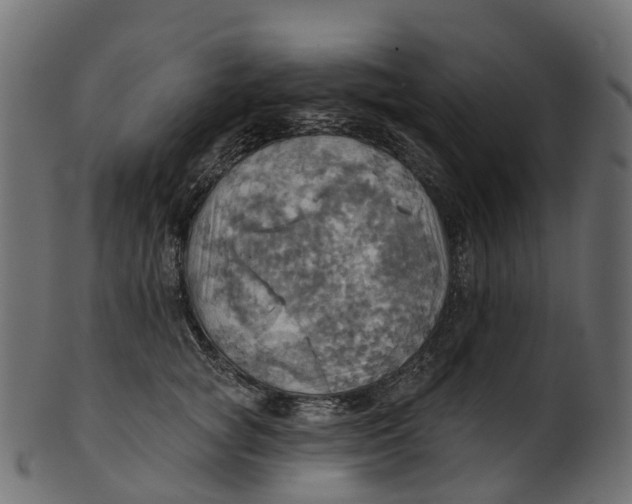 X0000100470757200807031827