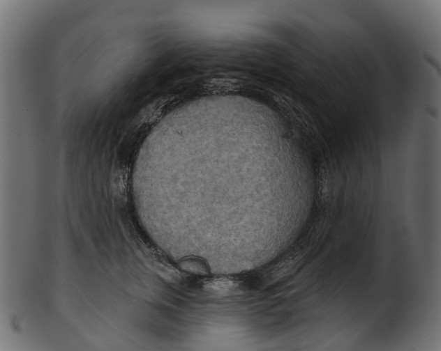 X0000100470759200807031827