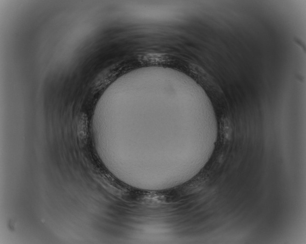 X0000100470760200807031827