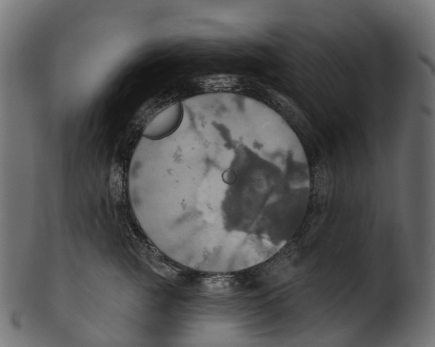 X0000100470761200807031827