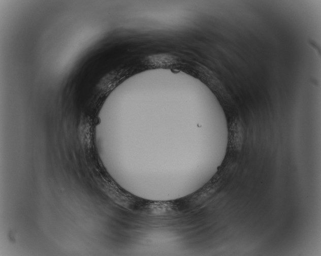 X0000100470762200807031827