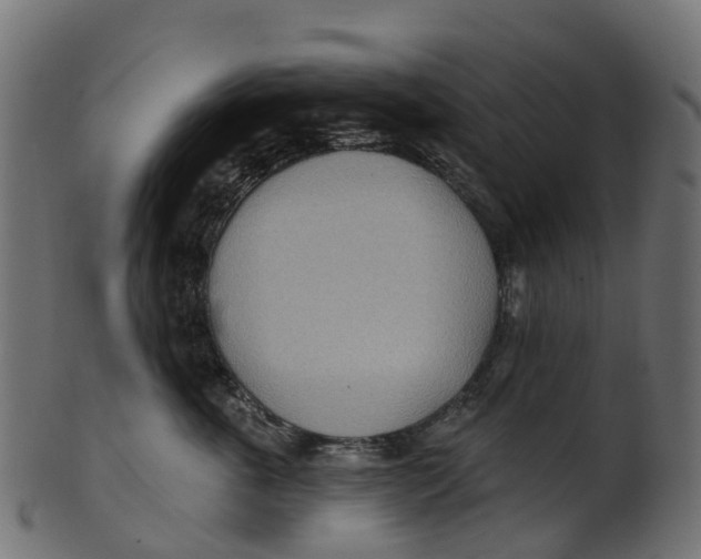 X0000100470763200807031827