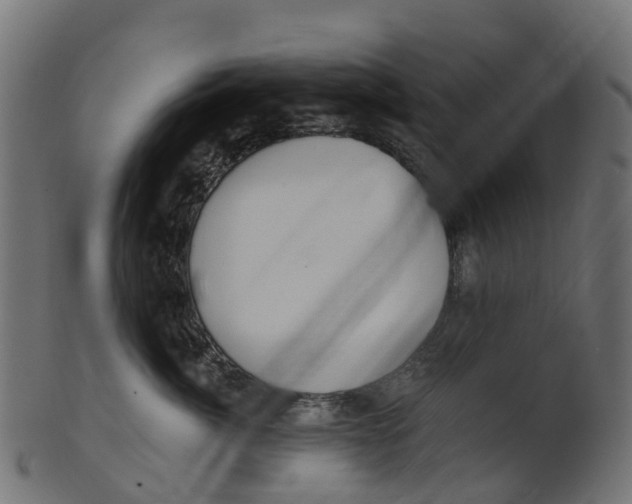 X0000100470764200807031827