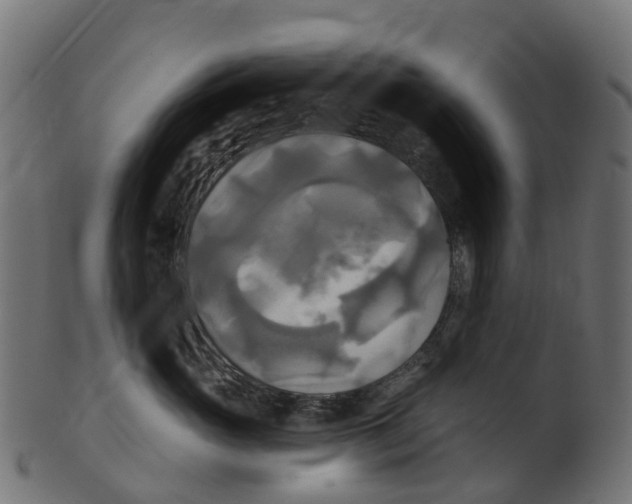 X0000100470765200807031827