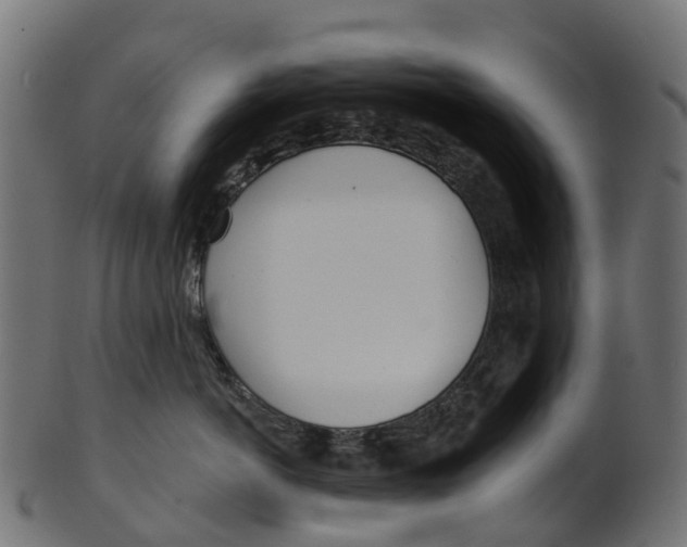 X0000100470766200807031827