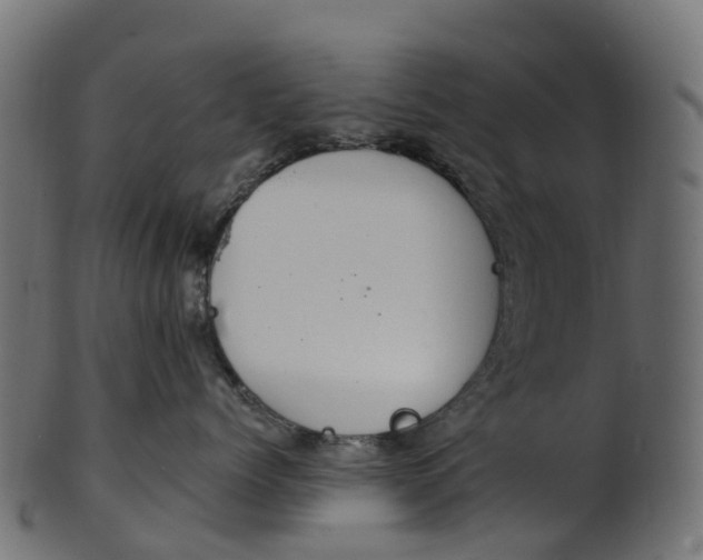 X0000100470768200807031827