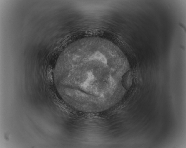 X0000100470770200807031827