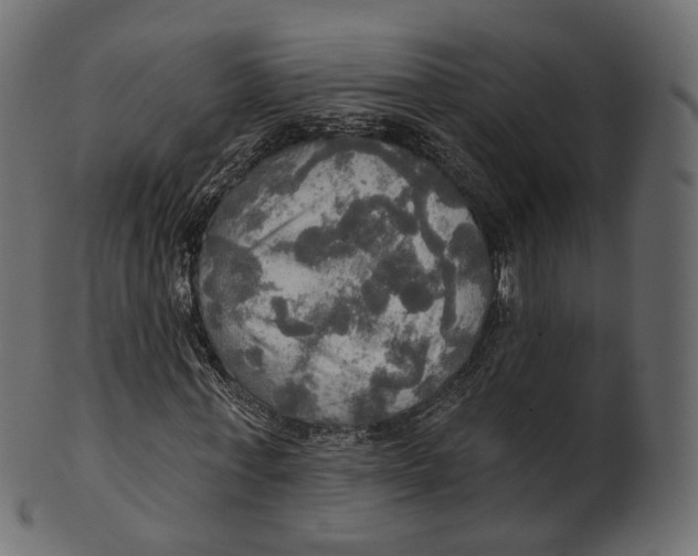 X0000100470771200807031826