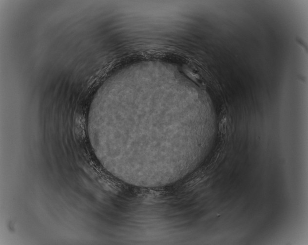 X0000100470772200807031826