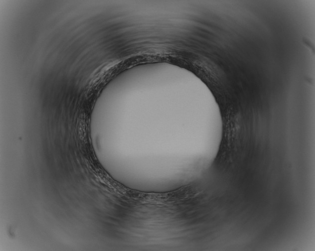 X0000100470773200807031826