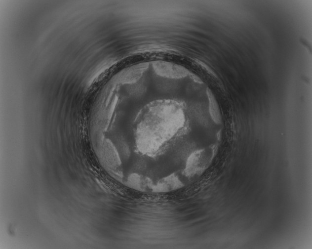 X0000100470775200807031826