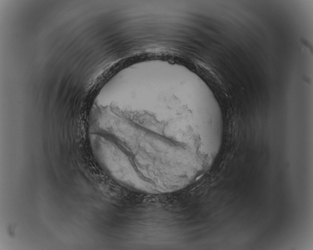 X0000100470776200807031826