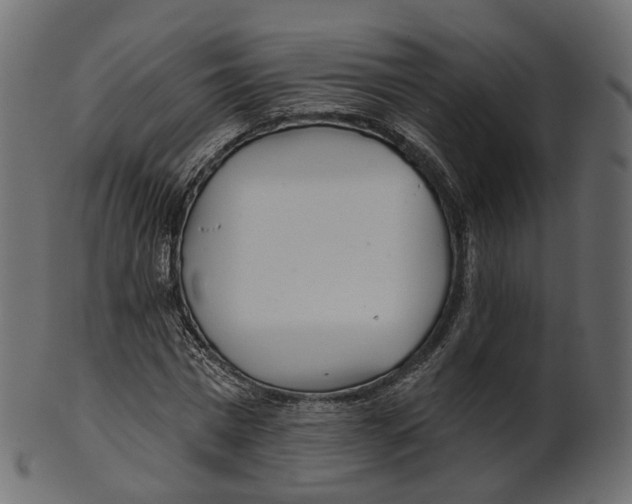 X0000100470777200807031826