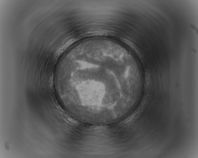 X0000100470778200807031826