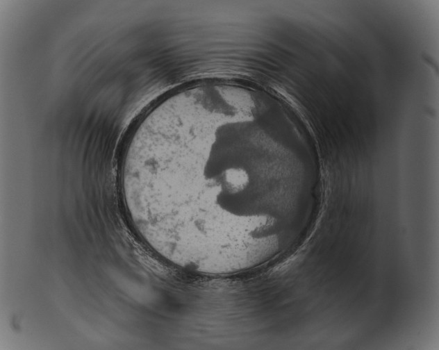 X0000100470779200807031826