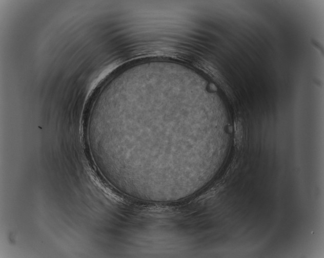 X0000100470780200807031826