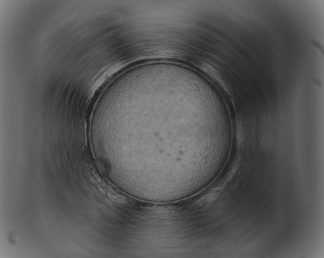 X0000100470781200807031826