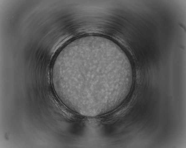 X0000100470782200807031826